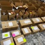 زیتون طارم