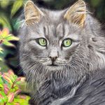 آکادمی هنری رنگارا