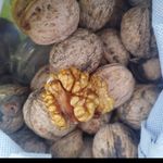 میوه تره بار روز