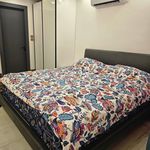 ام . دی .اف فرجی