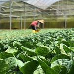 فروش کود و مکملهای غذایی و گیاهی فخرایی