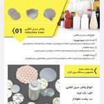 پیشگام سیل
