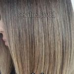 خدمات تخصصی ساحل جاوید