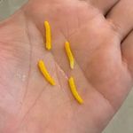 فروشگاه چای برنج خلف خانی