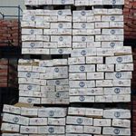 پخش گوشت نوین