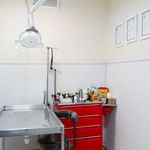 پت شاپ لیما