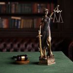 امیررضا صادقی وکالت تخصصی در دعاوی ملکی