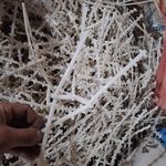 خرید انواع مواد پلاستیکی و آهن آلات فاتح