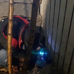 سمپاشی سلامت آفرین رشت