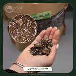 گلخانه ی ژینکو (ژین سویل)