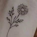 زیبایی تاتو طرح دائم