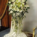 گلفروشی سی تو (ارسال رایگان)