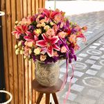 گلفروشی فوشیا