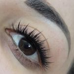 خانه ناخن نبات