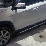 نقاشی.خشگیری حرفه ای  سناتور