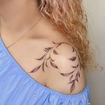 خدمات تخصصی آرایش دائم و تتو شکوه قاسمی