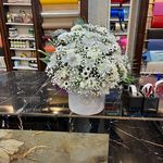 گل ارکیده