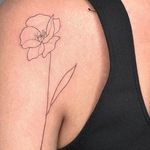 خدمات حرفه ای آرایش دائم  yas micro