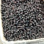 آجیل و خشکبار سلیمانی