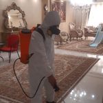 شرکت سمپاشی شیمی گستر