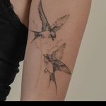 خدمات تخصصی میکروبلیدینگ و شیدینگ