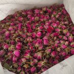 غنچه گل محمدی