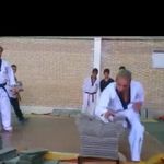 باشگاه تکواندو الف