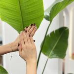 سالن زیبایی بل(Belle beauty)