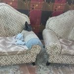 کاور مبل پرستو  مرجع تخصصی انواع کاورمبل