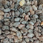 مویز و کشمش اصل دشمن زیاری