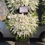 گل فروشی دنیز (آنلاین) -ارسال فوری