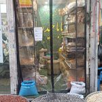 پسته باباحیدر