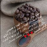 فروش عمده انواع قهوه با برند مایکل