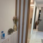 ام . دی .اف فرجی