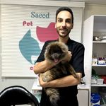 کلینیک دامپزشکی سعید