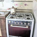 ویلای جنگلی دودوست