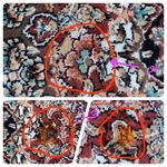 قالیشویی امیری