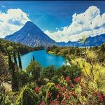 انواع پرده ازخود تولیدکننده فاتکس غفاری