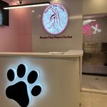 کلینیک دامپزشکی زرین