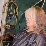 سالن تخصصی رنگ و لایت ستوده(20درصدتخفیف)