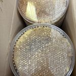 عسل طبیعی امیر بامداد