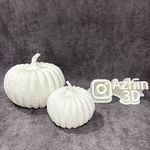 خدمات تخصصی با پرینتر سه بعدی در آژین