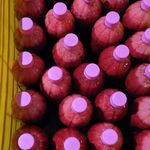 جام زرشک سرخ قاینات