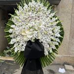 گل فروشی دنیز (آنلاین) -ارسال فوری