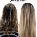 خدمات و آموزش تخصصی مو بندرانزلی