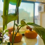 کیلینیک زیبایی و لیزر ژامک
