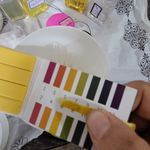 محصولات آرایشی، بهداشتی ارگانیک نلین