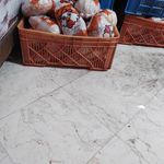 قطعه بندی مرغ فیله شمشی