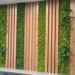 گالری شاهان