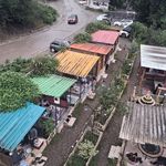 باغ رستوران مجلل